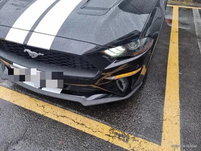 2019 Ford Mustang VIN: