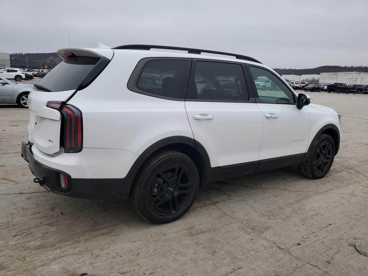 2024 KIA TELLURIDE EX VIN:5XYP3DGC8RG546596