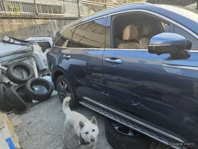 2020 Kia Sorento VIN: