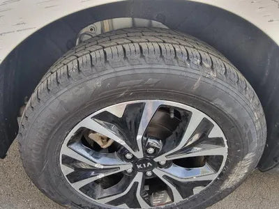 2020 Kia Carnival KNANC81BBMS015175 VIN:KNANC81BBMS015175