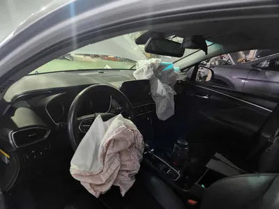 2019 Hyundai Santa FE KMHS381BBLU210734 VIN:KMHS381BBLU210734