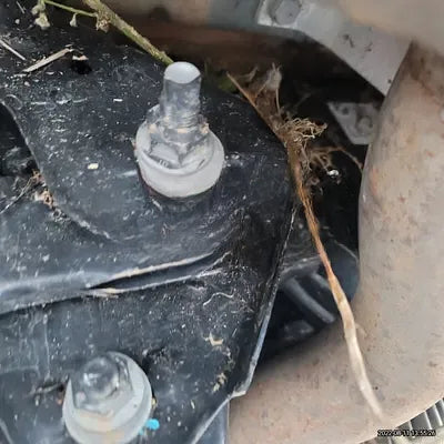 2021 BMW X4 M NONE VIN: