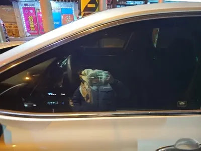 2019 Toyota Camry JTNB11HK6K3099731 VIN:JTNB11HK6K3099731