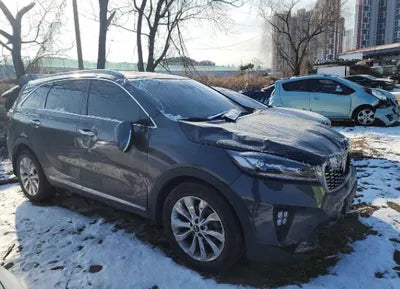 2019 Kia Sorento KNAPS81ABKA509598 VIN:KNAPS81ABKA509598