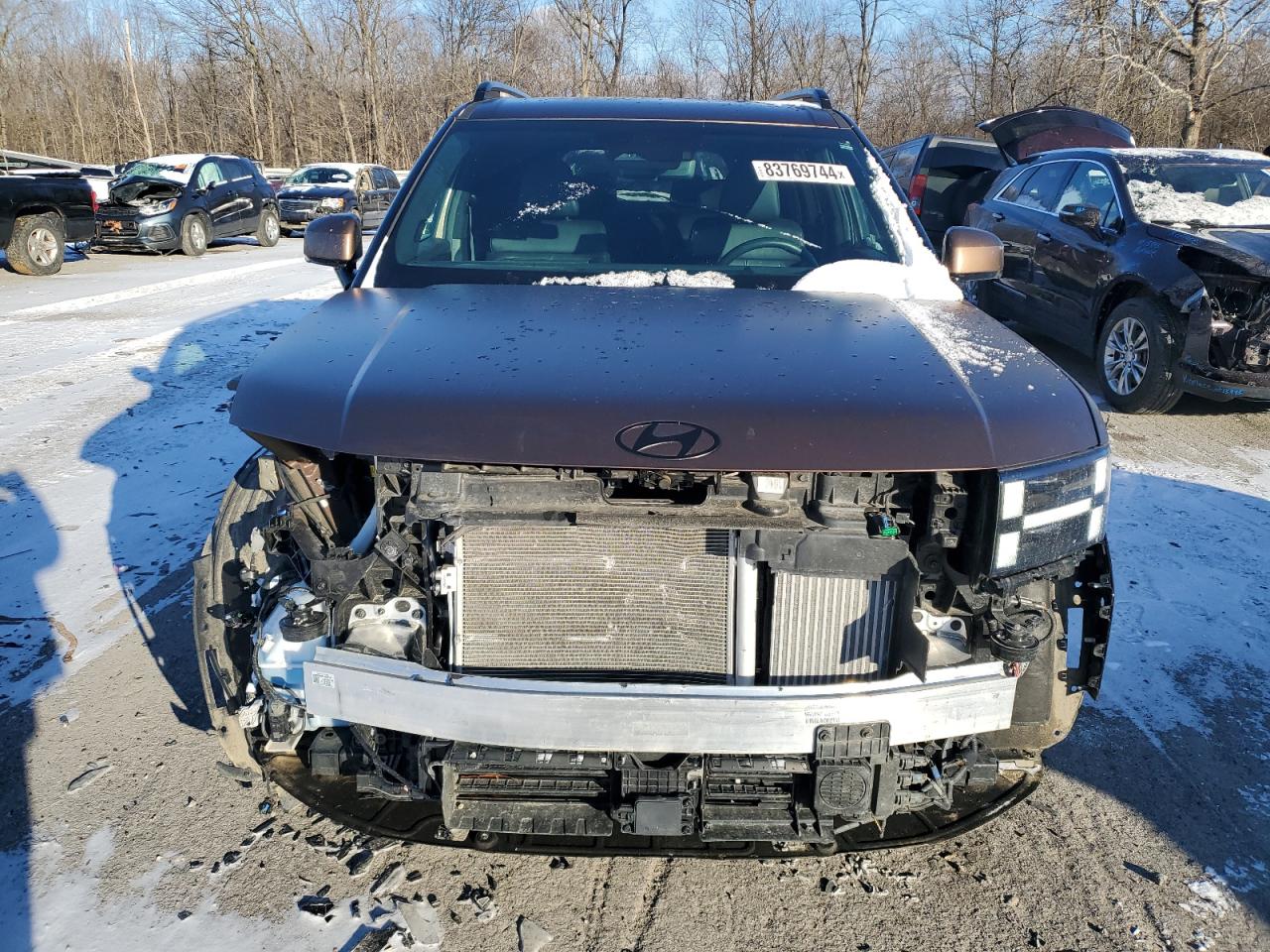 2024 HYUNDAI SANTA FE CALLIGRAPHY VIN:5NMP5DG16RH010468