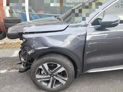 2021 Kia Sorento KNARK81GBMA049343 VIN:KNARK81GBMA049343