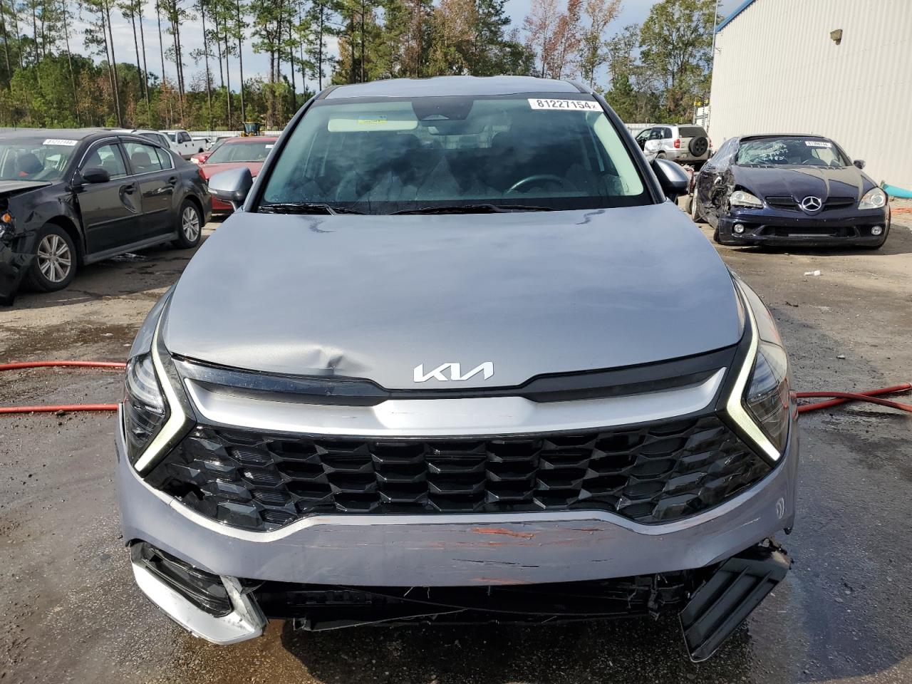 2024 KIA SPORTAGE EX VIN:5XYK33DF9RG185981