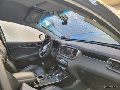 2016 Kia Sorento KNAPS81ADGA264790 VIN:KNAPS81ADGA264790