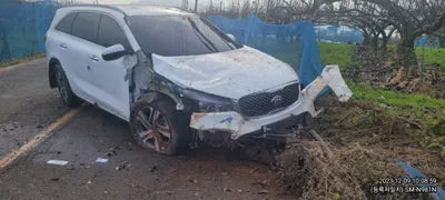 2017 Kia Sorento 339KMKNAPH81ABHA3 VIN:339KMKNAPH81ABHA3