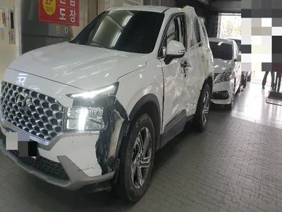 2021 Hyundai Santa FE KMHS281HGMU344697 VIN:KMHS281HGMU344697