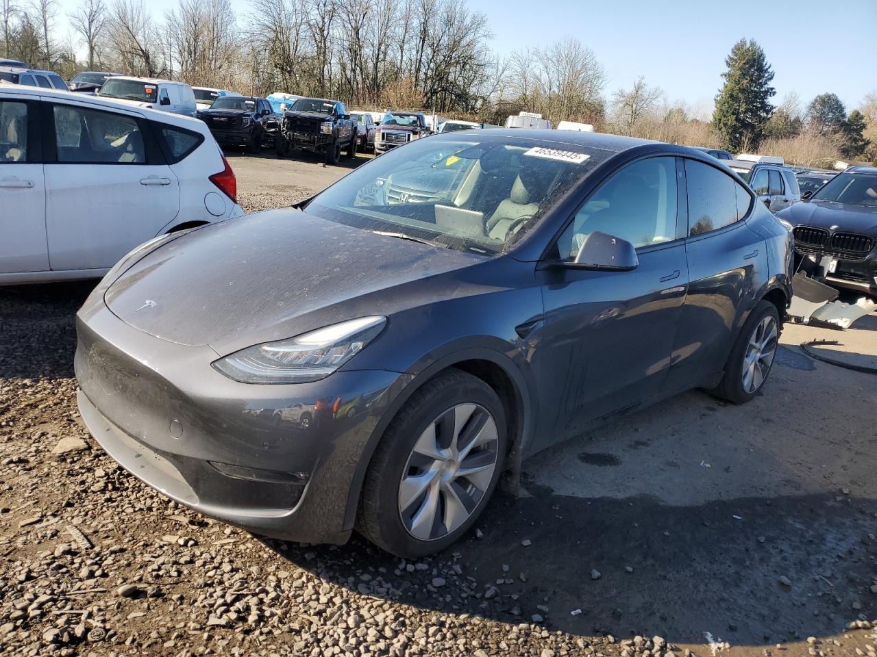 2022 TESLA MODEL Y  VIN:7SAYGDEE1NF575438
