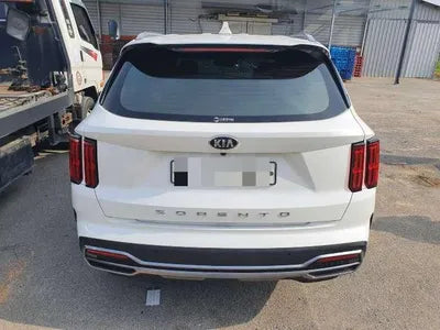2020 Kia Sorento KNARK81BGMA038540 VIN:KNARK81BGMA038540