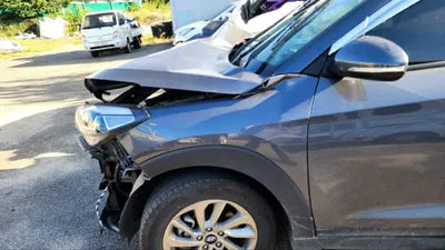 2017 Hyundai Tucson 501KMKMHJ3815GHU4 VIN:501KMKMHJ3815GHU4