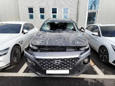 2020 Hyundai Santa FE KMHS381BDLU264845 VIN:KMHS381BDLU264845