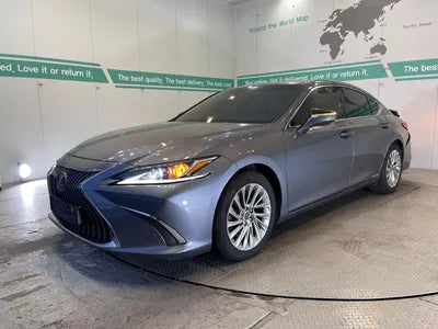 2021 Lexus ES 300 JTHBA1C13M2002785 VIN:JTHBA1C13M2002785