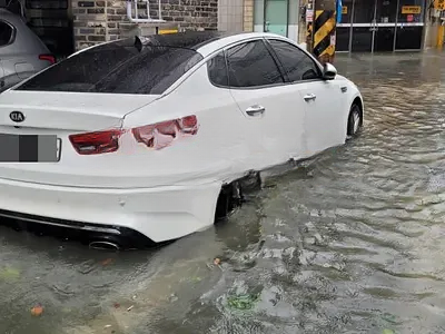 2019 Kia K5 NONE VIN: