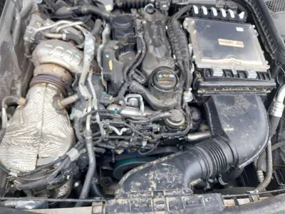 2019 Mercedes-Benz C 220 VIN: