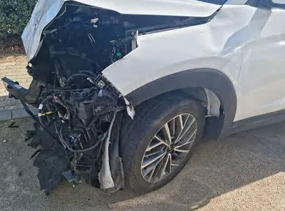 2020 Hyundai Tucson KMHJ2812GLU281350 VIN:KMHJ2812GLU281350