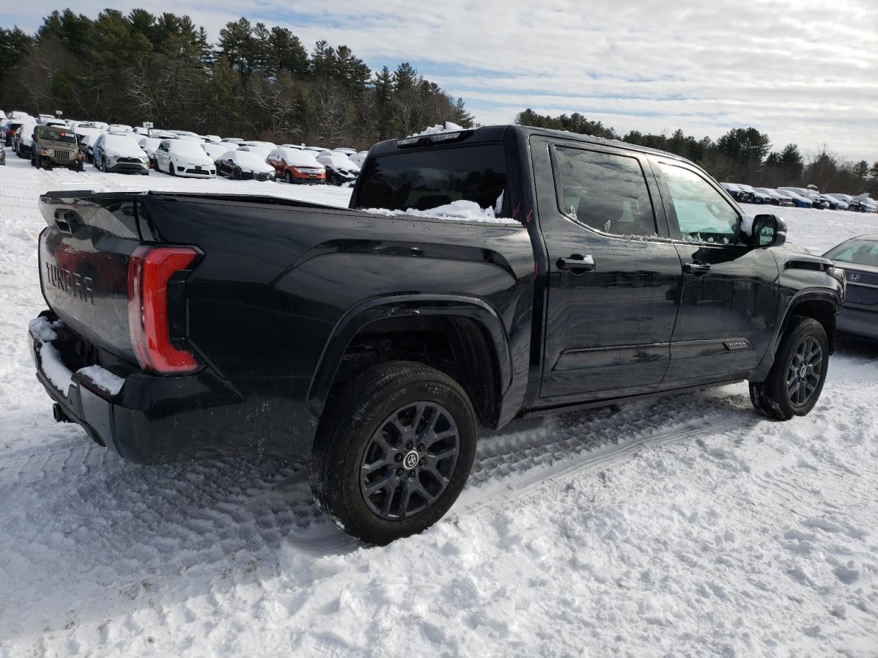 2024 TOYOTA TUNDRA CREWMAX PLATINUM VIN:5TFNC5DB9RX064791