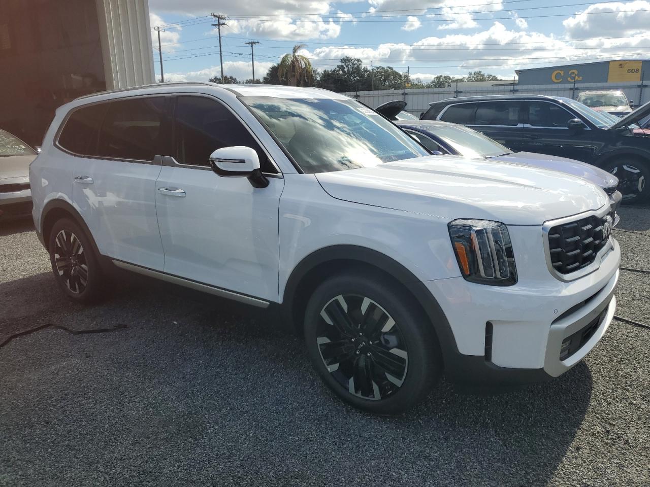 2024 KIA TELLURIDE SX VIN:5XYP5DGC2RG549861