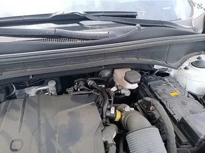 2021 Kia Sorento KNARK81BHMA010781 VIN:KNARK81BHMA010781