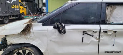 2021 Kia Carnival KNANE81BBMS077214 VIN:KNANE81BBMS077214