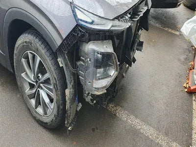 2019 Hyundai Santa FE KMHS281BBKU160055 VIN:KMHS281BBKU160055