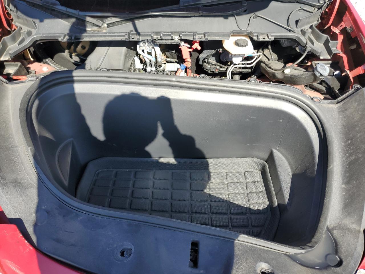 2023 TESLA MODEL Y  VIN:7SAYGDEE3PA113561