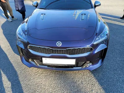 2020 Kia Stinger KNAE351ABLS078711 VIN:KNAE351ABLS078711