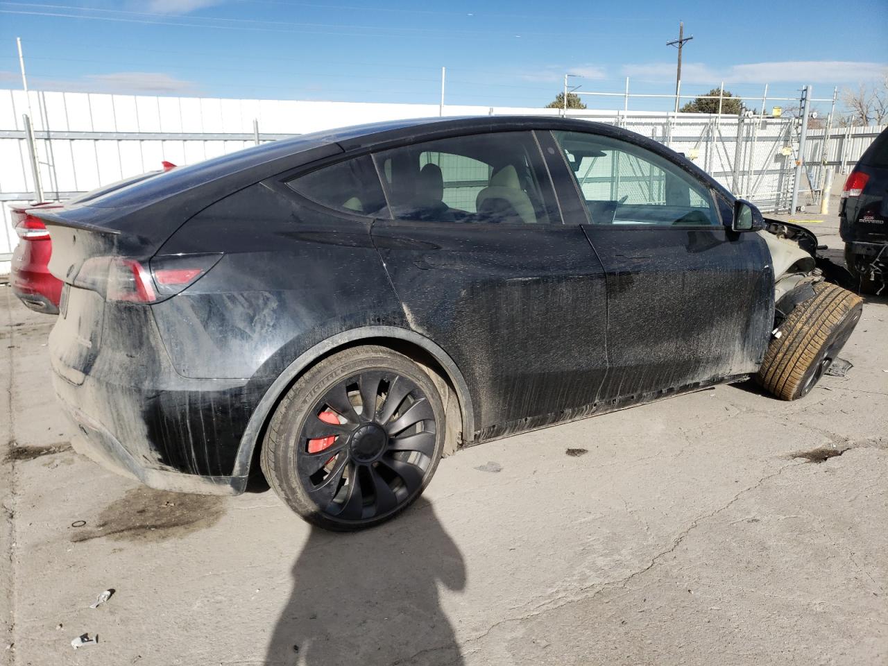 2023 TESLA MODEL Y  VIN:7SAYGDEF5PF701909