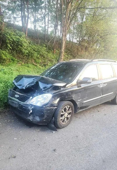 2014 Kia Carnival VIN: