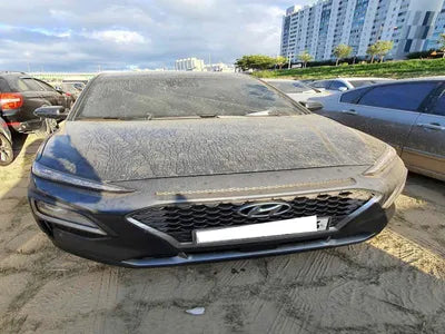 2019 Hyundai Kona KMHK4815GLU495629 VIN:KMHK4815GLU495629