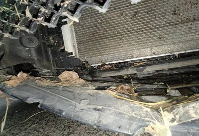 2020 Mercedes-Benz S 350 W1KUF2BB2LA558821 VIN:W1KUF2BB2LA558821