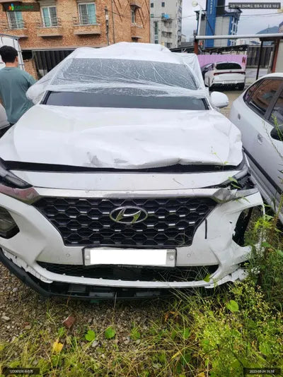 2019 Hyundai Santa FE KMHS381BBKU171201 VIN:KMHS381BBKU171201