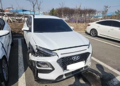 2020 Hyundai Kona KMHK4815GLU563369 VIN:KMHK4815GLU563369