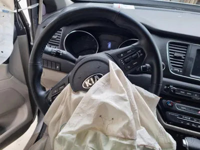 2019 Kia Carnival KNAMB81ABLS621274 VIN:KNAMB81ABLS621274