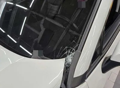 2019 Toyota RAV4 VIN: