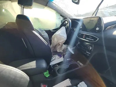 2019 Hyundai Santa FE KMHS281BBKU157211 VIN:KMHS281BBKU157211