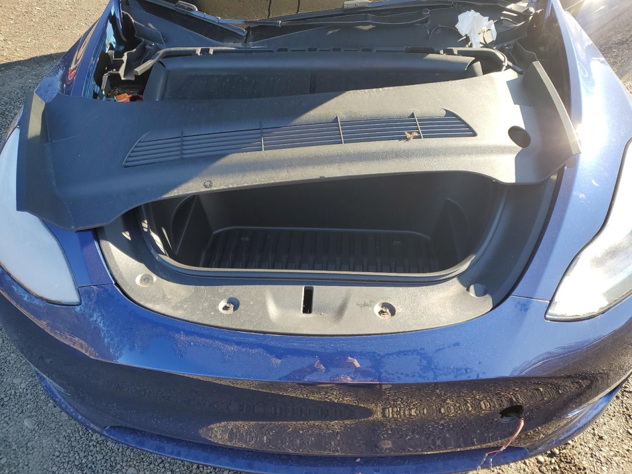 2023 TESLA MODEL Y  VIN:7SAYGDEE7PF760001
