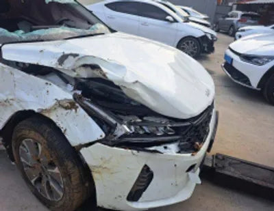 2022 Kia K5 KNAG141JBNA025481 VIN:KNAG141JBNA025481
