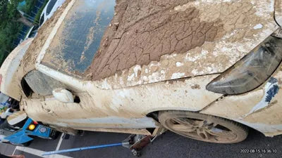 2019 Mercedes-Benz E 220 WDD1K1EB0KF115623 VIN:WDD1K1EB0KF115623