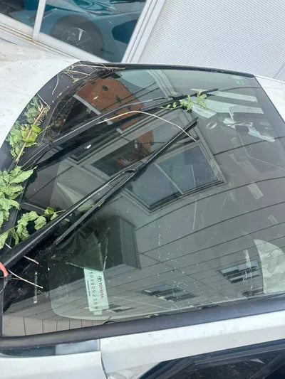 2019 Toyota Prius JTDKARFU4K3088587 VIN:JTDKARFU4K3088587