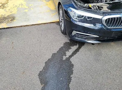 2019 BMW 520 WBAJK7102KBP74180 VIN:WBAJK7102KBP74180