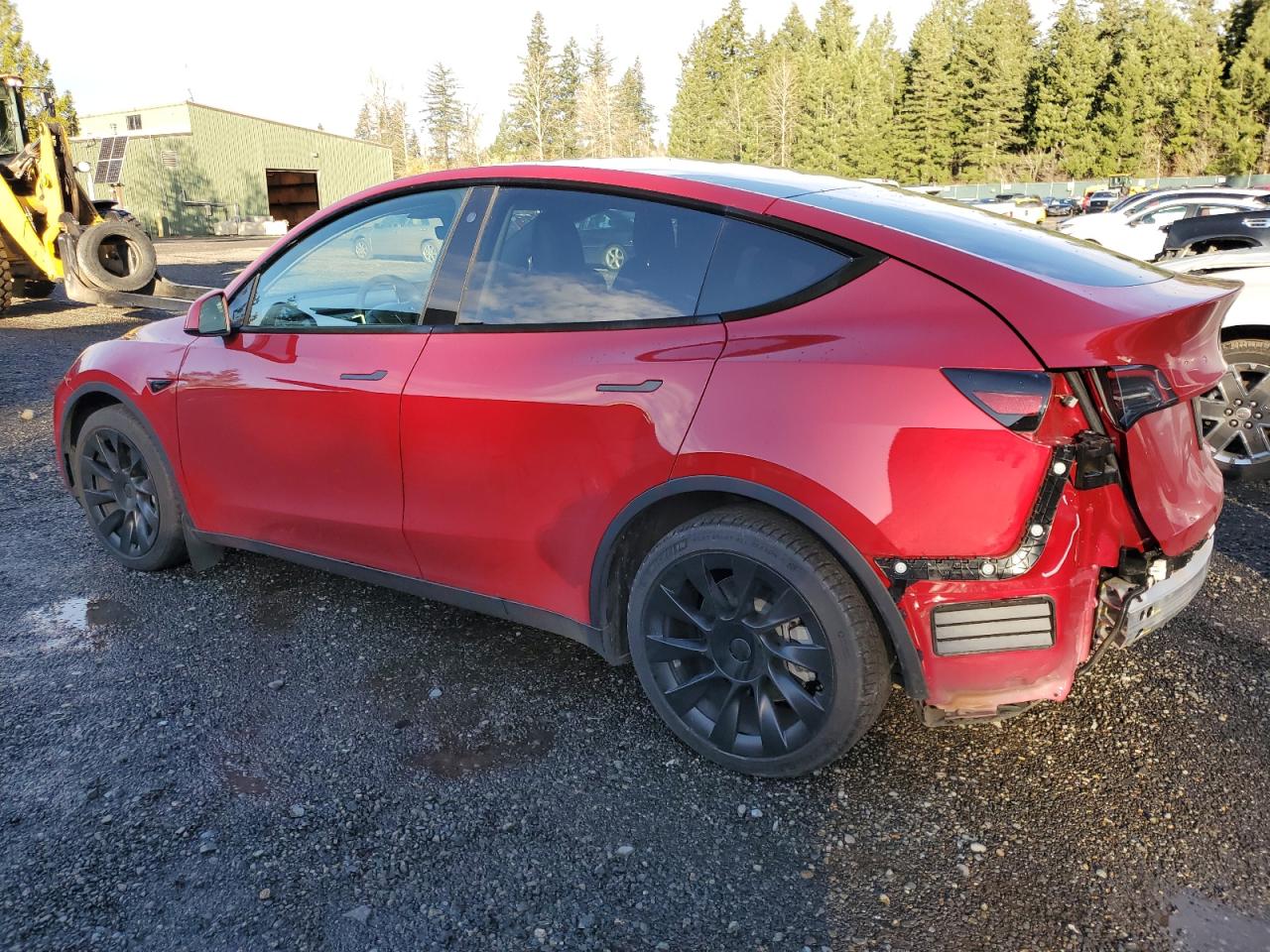 2022 TESLA MODEL Y  VIN:7SAYGDEE6NF364817