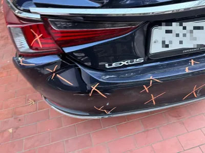 2019 Lexus ES 300 VIN: