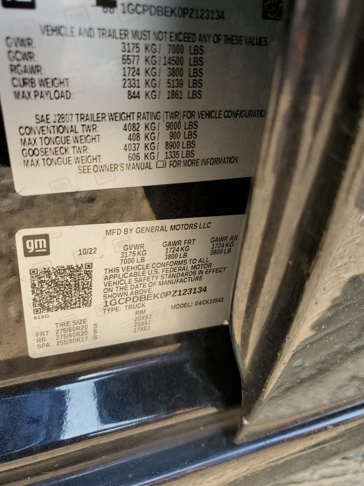 2023 CHEVROLET SILVERADO K1500 CUSTOM VIN:1GCPDBEK0PZ123134