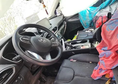 2019 Hyundai Santa FE KMHS281BBKU176591 VIN:KMHS281BBKU176591