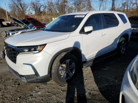 2024 HONDA PILOT EXL VIN:5FNYG1H49RB032102