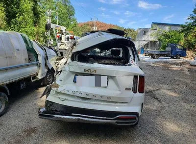 2022 Kia Sorento KNARM81FHNA155884 VIN:KNARM81FHNA155884