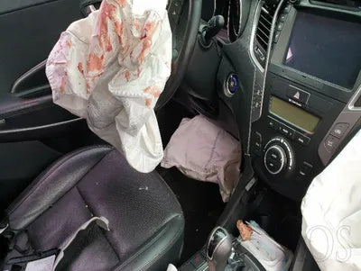 2015 Hyundai Santa FE KMHSW81XDFU418422 VIN:KMHSW81XDFU418422